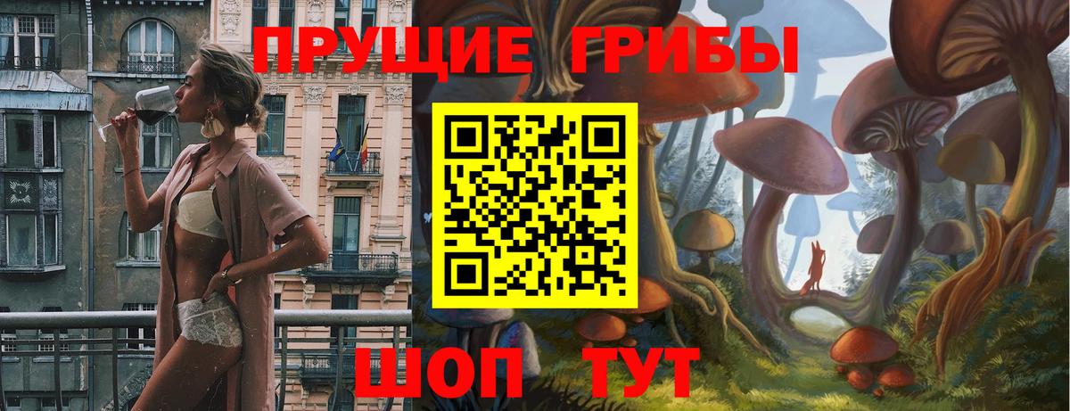 Галлюциногенные грибы прущие грибы Сочи