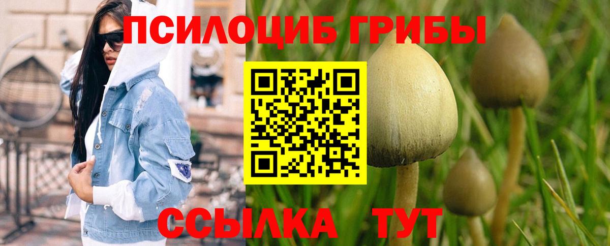 Галлюциногенные грибы Magic Shrooms  Вход с VPN  Сочи  Псилоцибиновые грибы MAGIC MUSHROOMS 